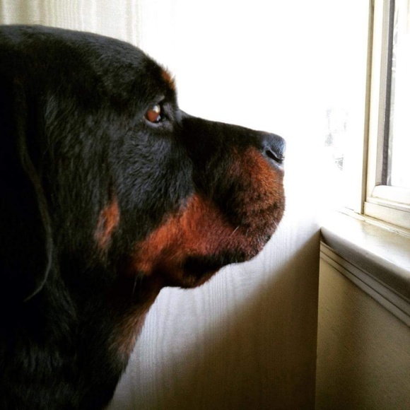 Welcome to my Closet! - Picture 7 of 8